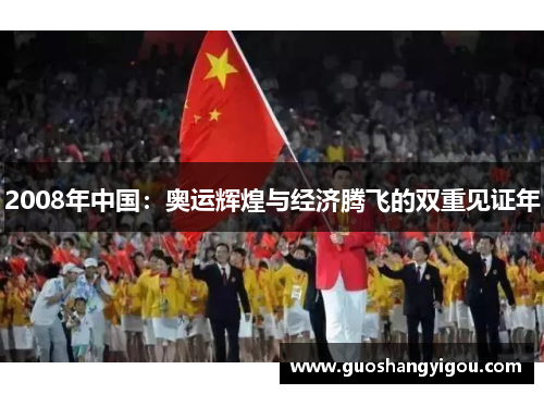 2008年中国：奥运辉煌与经济腾飞的双重见证年