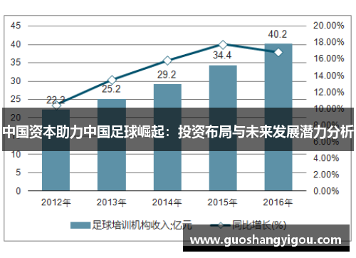 中国资本助力中国足球崛起：投资布局与未来发展潜力分析